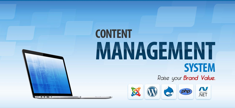 CMS Development